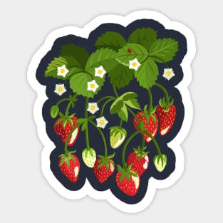 Strawberry Patch Sticker